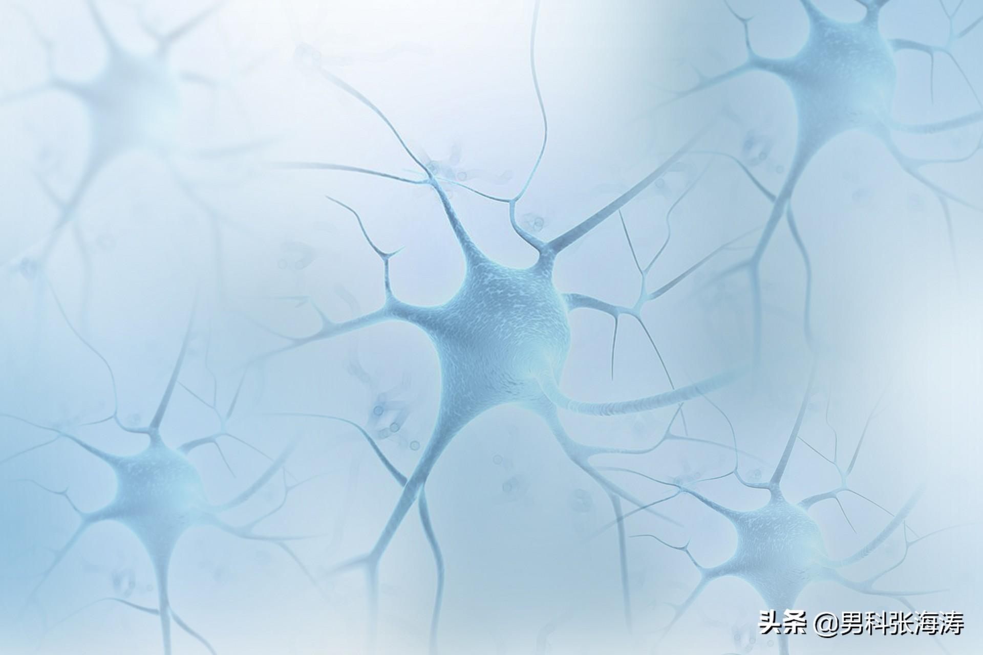 早泄如何治疗，5种方法可以参考
