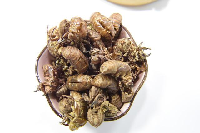 蝉蜕的功效与作用，蝉蜕相关配伍