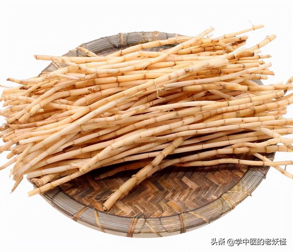 白茅根的作用与文献记载