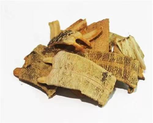 鳖甲的功效与作用和注意事项