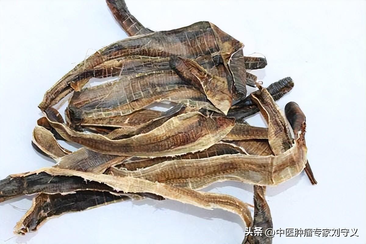 地龙的功效与作用与文献论述