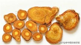 虎杖的功效与作用和典籍记载