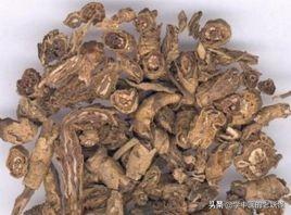 香加皮的功效与作用（利水消肿，祛风湿）