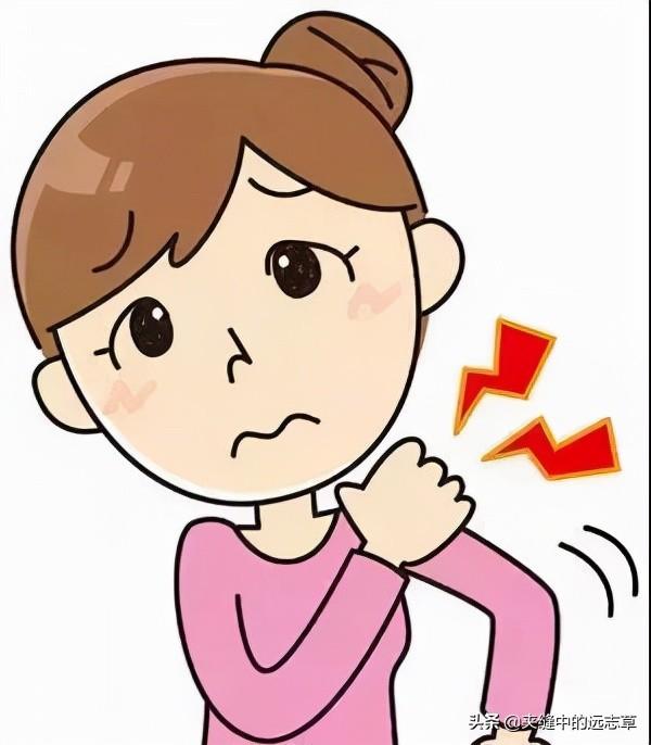 野葛根的作用与功效（解肌退热，生津止渴）