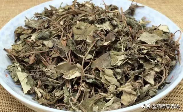 金钱草的功效与作用以及用法用量