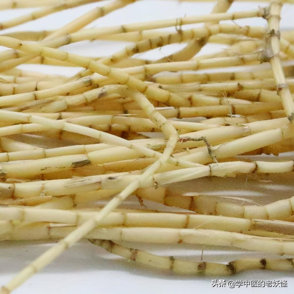 白茅根的作用与文献记载