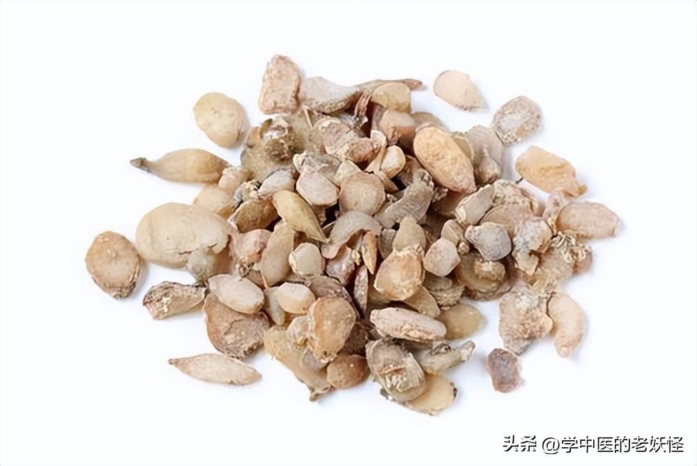 半夏的功效与作用以及典籍记载
