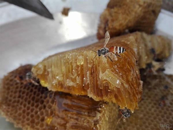 蜂蜜柠檬水的功效（改善消化、清洁皮肤）