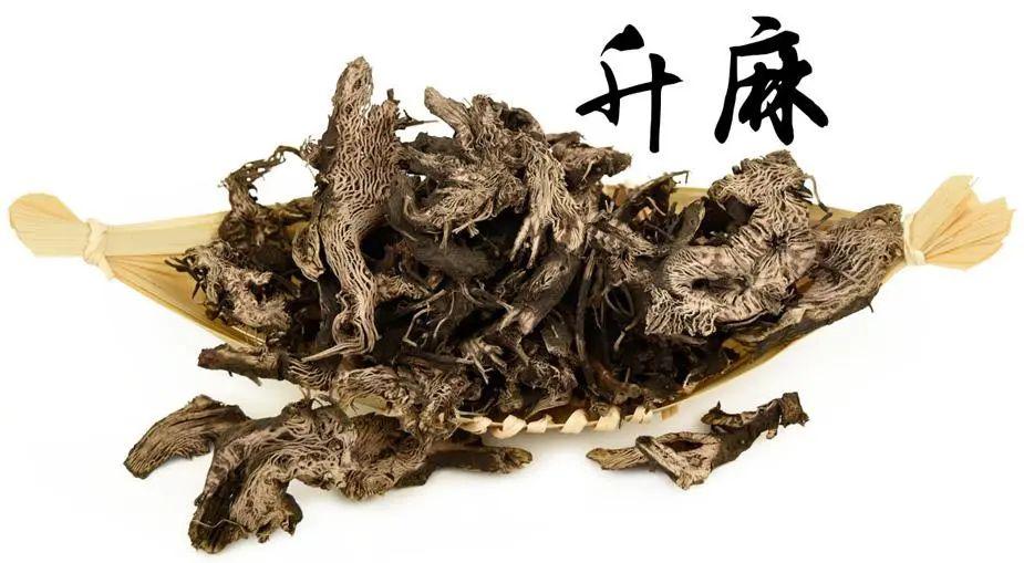 玄参的功效，玄参的食用方法