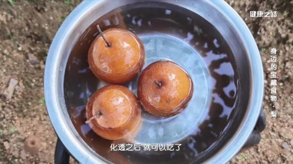 梨的功效与作用以及饮食食谱