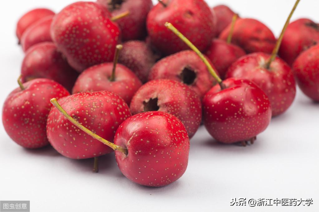 山楂的功效与作用以及主治病证