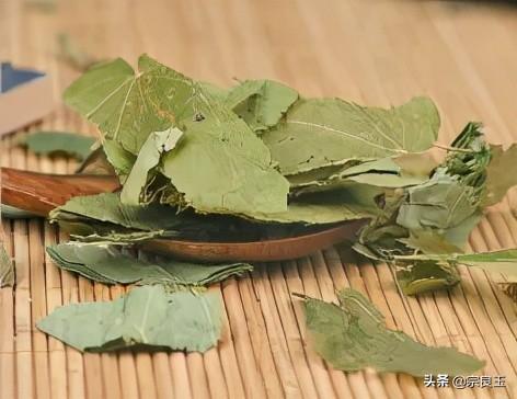 仙灵脾的功效与作用（利小便，益气力，强志）