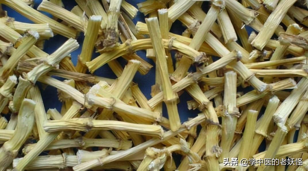 白茅根的作用与文献记载