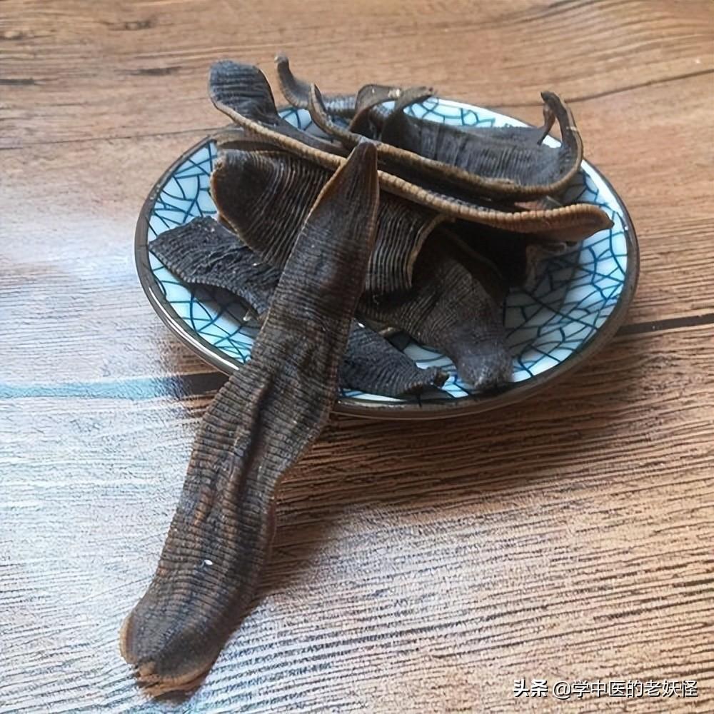 水蛭的功效与作用以及古籍摘要