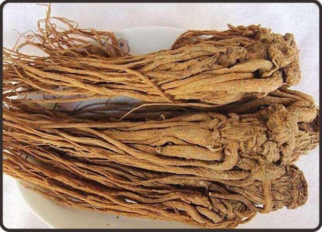 当归的功效与作用，当归的副作用