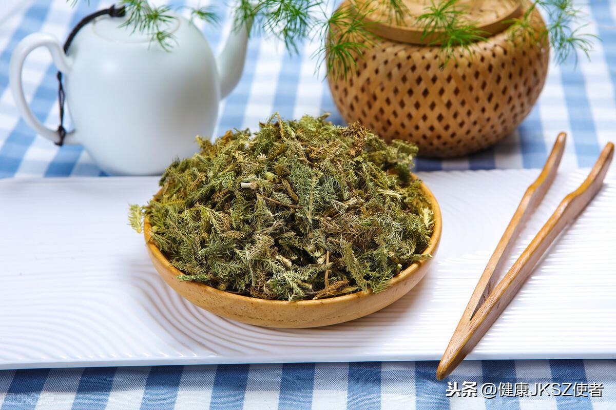 伸筋草的药用功效与治病配方