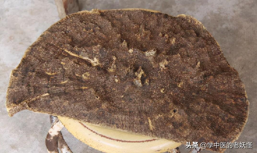沉香的作用与功效（行气止痛，温中止呕）