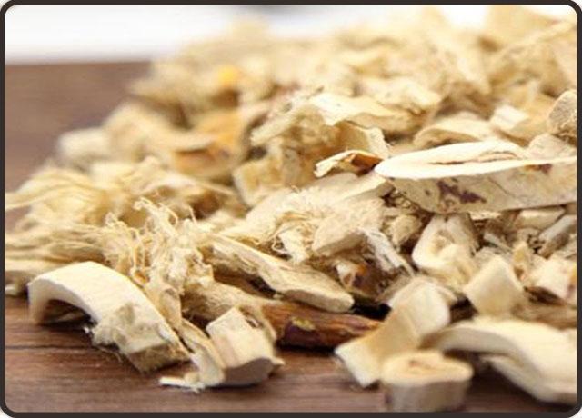 桑白皮的功效与作用，桑白皮的注意事项