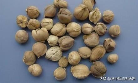 豆蔻的功效与作用（一味很好的化湿药）