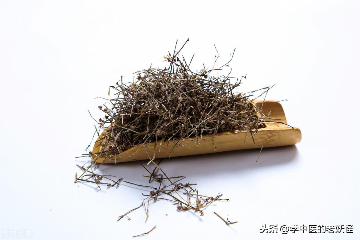 白花蛇舌草功效与作用（清热解毒，利湿通淋）