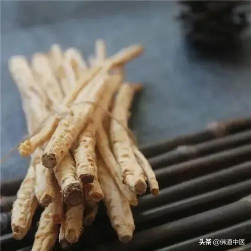 沙参的功效（沙参主安五脏之阴）