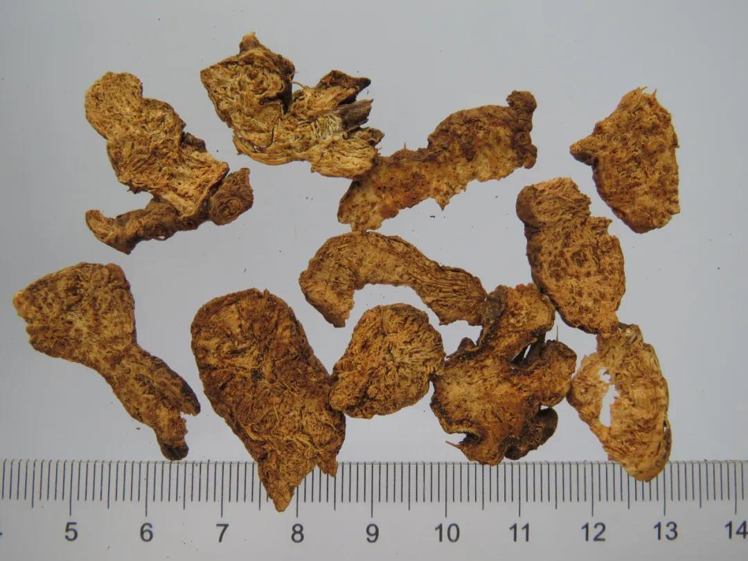 苍术功效与作用以及现代研究