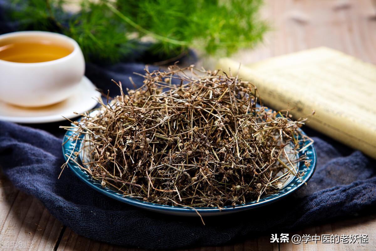 白花蛇舌草功效与作用（清热解毒，利湿通淋）