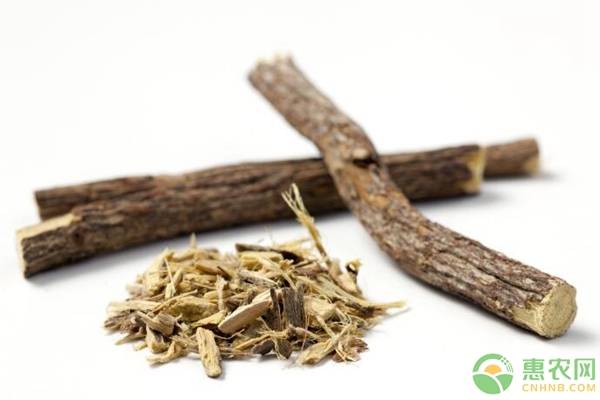 甘草的功效和作用（补脾益气，润肺泻火）