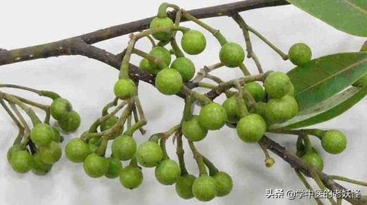 胡椒粉的功效与作用以及文献记载