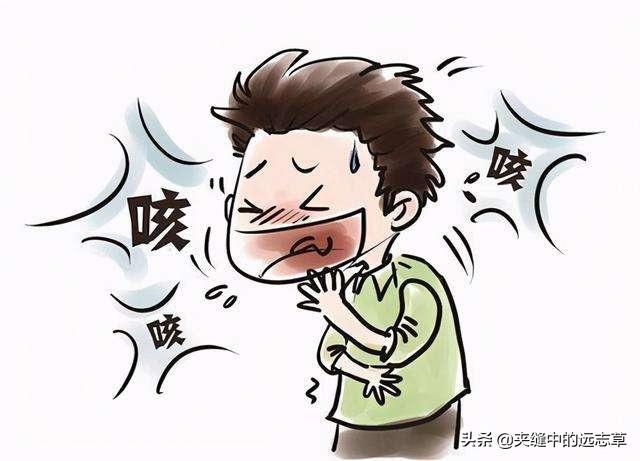 贝母的功效（清热化痰之要药）