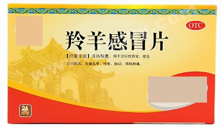 风热感冒吃什么药，风热感冒的12种中成药