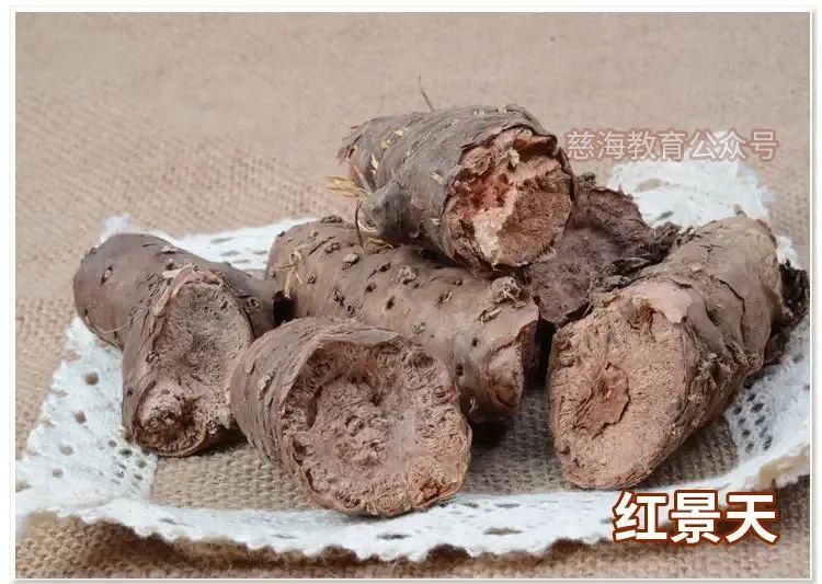 红景天的功效与作用（现代研究与古籍记载）