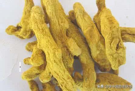姜黄的功效与作用（活血行气，通经止痛）