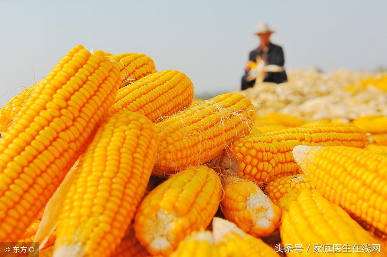 近视眼吃什么好，常吃这6种食物