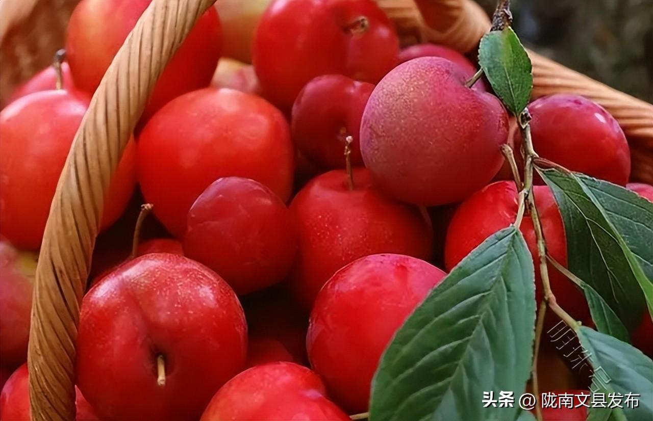 吃什么水果能降血糖，可以多吃这六种水果