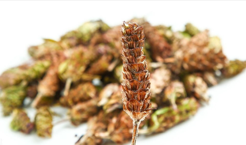 淋巴结肿大吃什么药（治疗淋巴结肿大的第一中药）