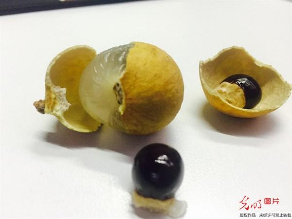 吃什么水果养胃，多吃这6种水果