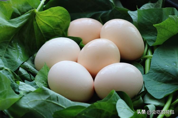 高蛋白的食物有哪些，10大高蛋白食物排行