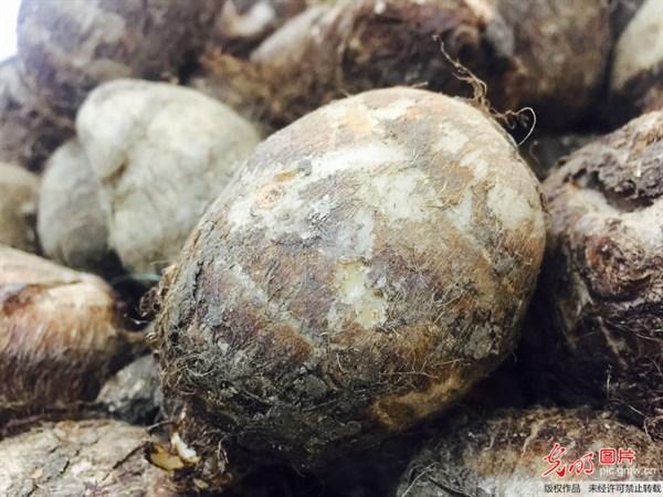 降血糖的食物，餐桌上的“降糖良药”