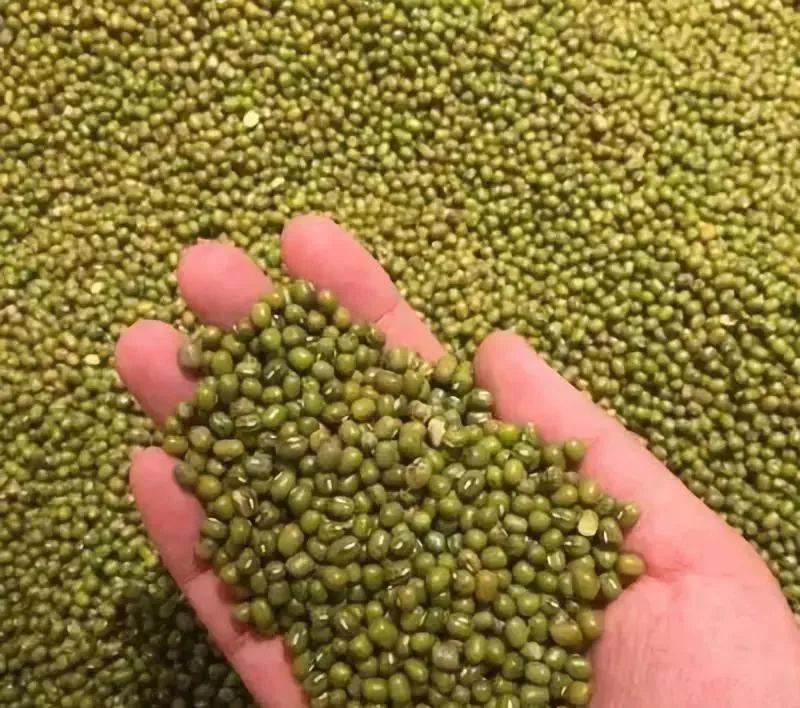 咽炎的食疗方法，推荐这5款药粥