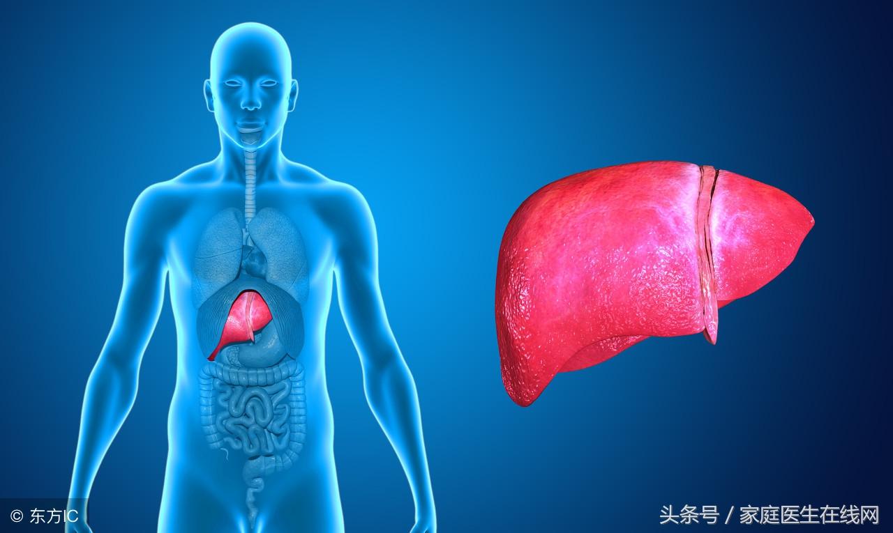 肝硬化有什么症状，三个症状预示肝硬化上身！