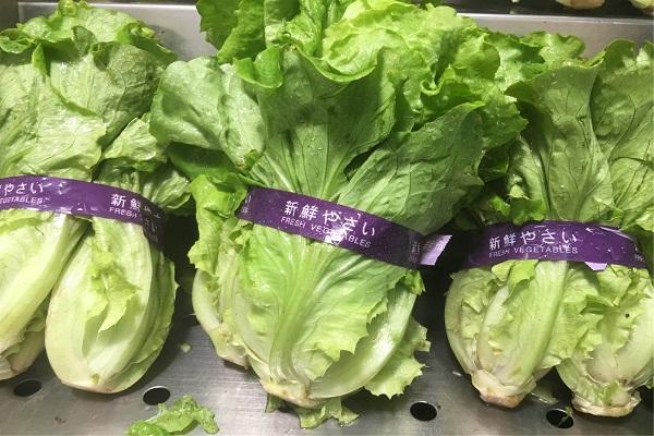 贫血有什么症状，四种类型贫血，你是哪一种？