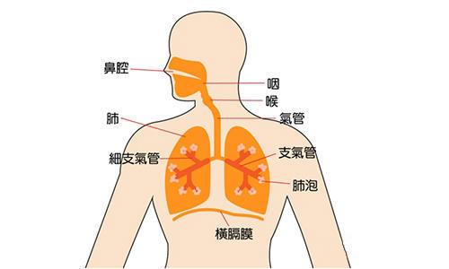 鼻子干疼怎么办，6个方法可以用