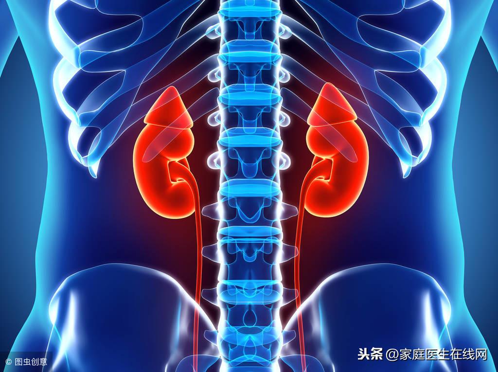肾阳虚的原因有哪些？ 教你4个方法调理肾阳虚