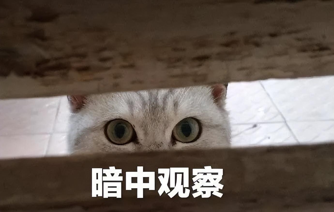 生完孩子多久可以同房，有哪些注意事项