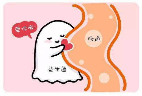 宝宝吃益生菌的好处，益生菌只适合这几类情况