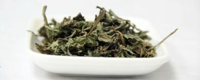 蒲公英泡水喝功效与主治以及制作方法