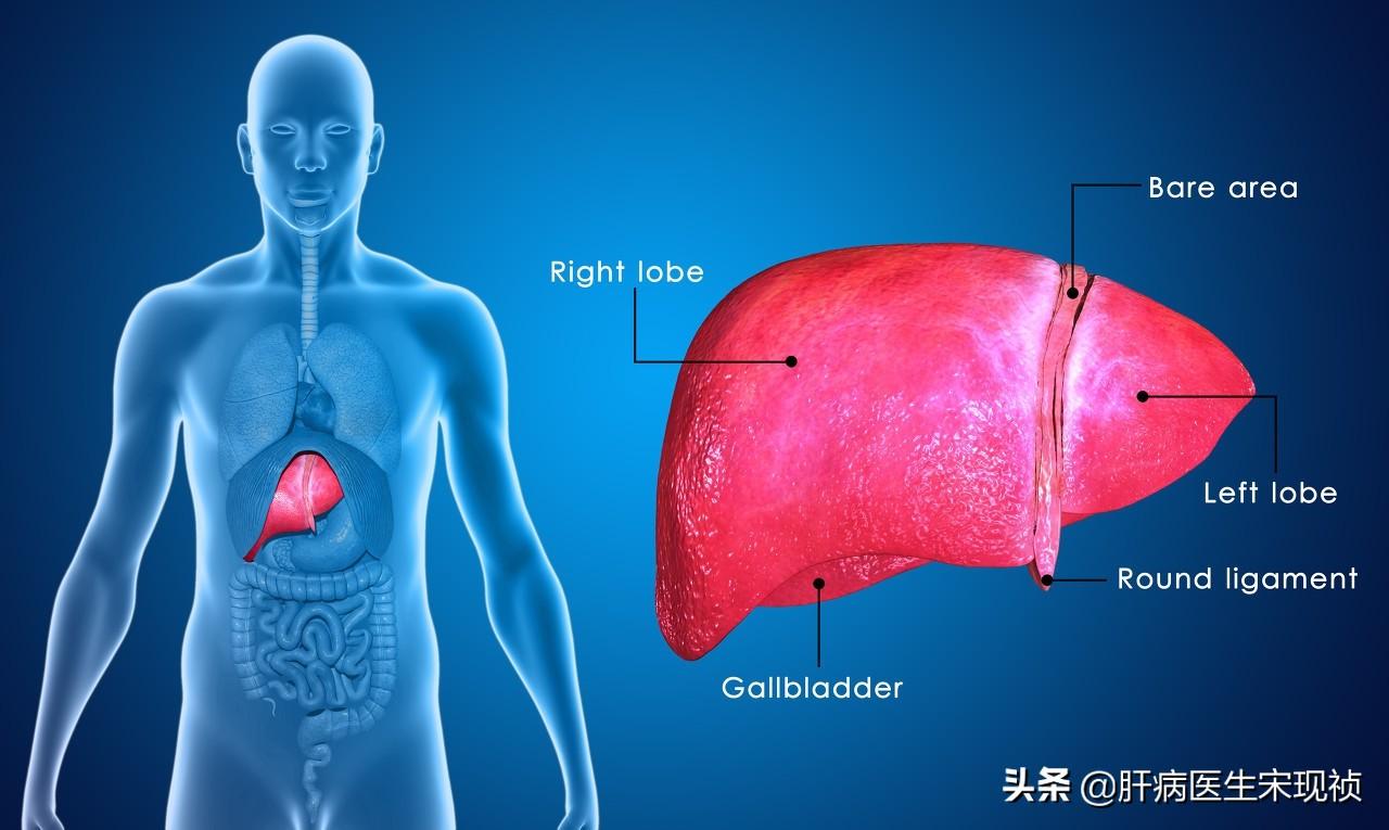 甲胎蛋白偏高的原因，医生：6种情况该认清