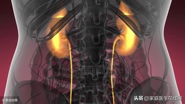肾亏的症状有哪些，导致肾脏疾病的原因有哪些