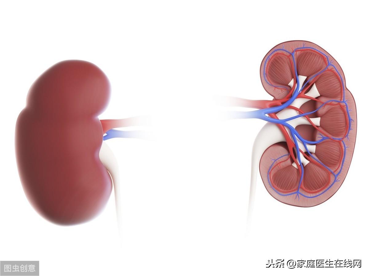 男人小便泡沫多是什么原因